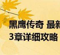 杨瀚森被打成熊猫眼？翻译:对抗小磕小碰无大碍